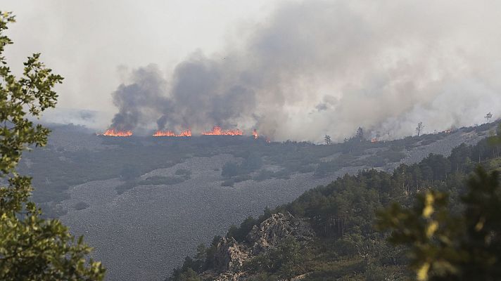 Telediario 1 - Telediario 1 en 4' - 15/07/22