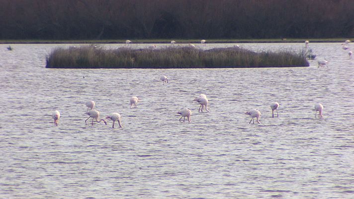 Noticias Andalucía - La Comisión amenaza con multas