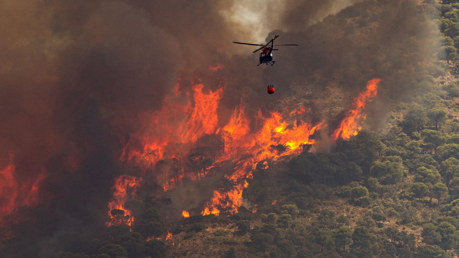 La tarde en 24 horas - 15/07/22 (1) - ver ahora