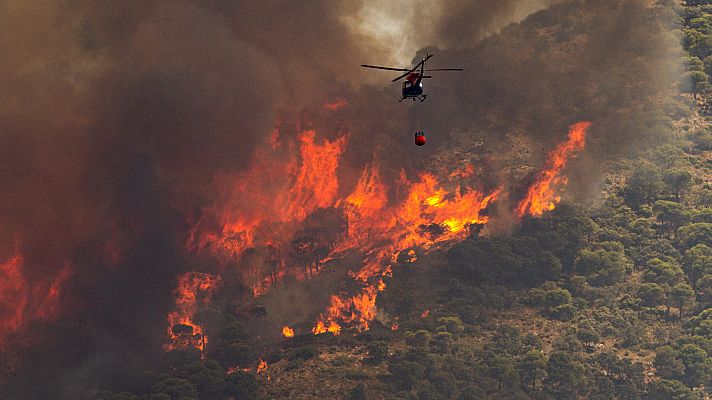La tarde en 24h - La tarde en 24 horas - 15/07/22 (1)