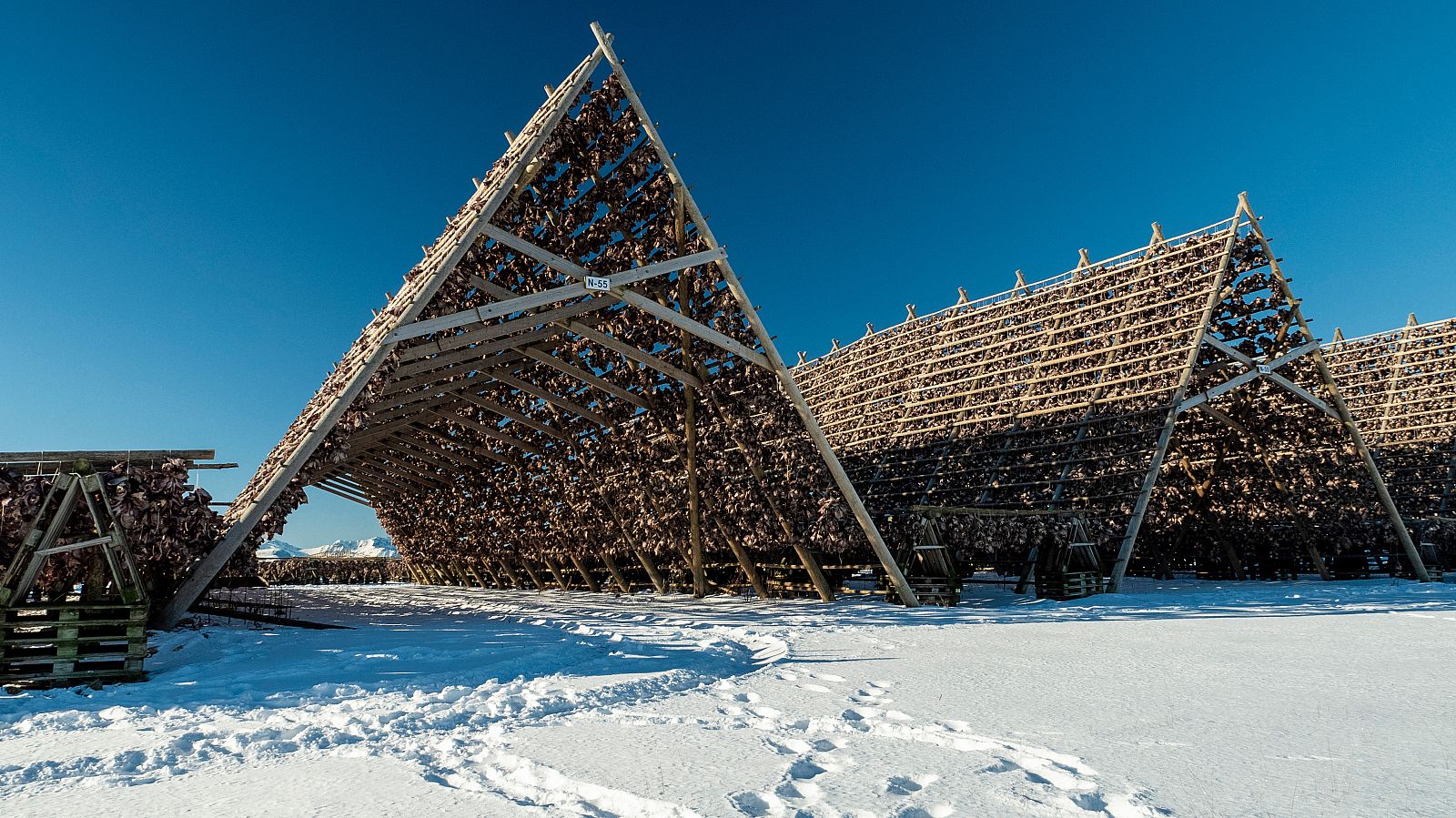 La hora de la naturaleza - Episodio 1: Despertar - Ver ahora