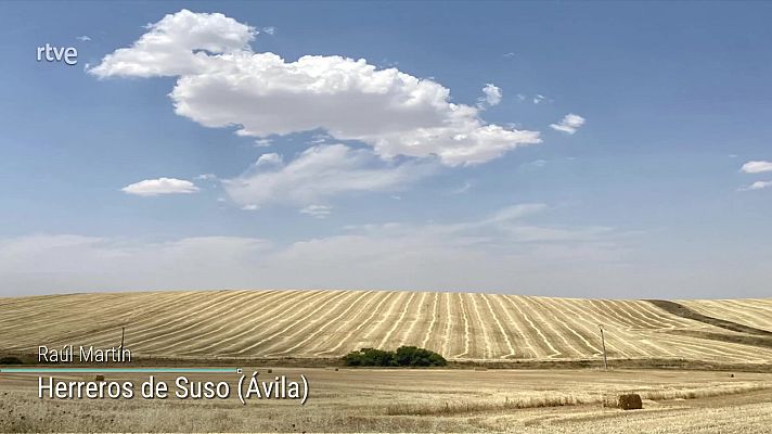 El tiempo - Temperaturas significativamente altas en la mayor parte de la Península y Baleares