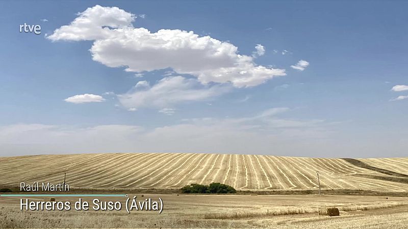 Temperaturas significativamente altas en la mayor parte de la Península y Baleares - ver ahora