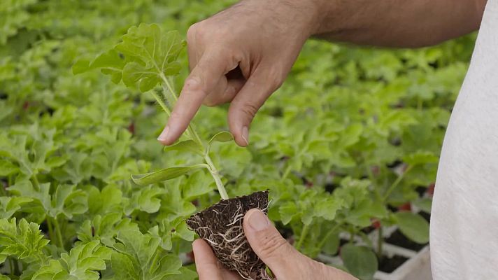 Aquí la Tierra - Aquí la Tierra - 17/07/22