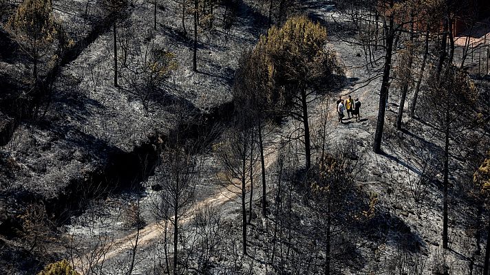 Telediario 1 - El incendio de Pont de Vilomara arrasa 1.600 hectáreas