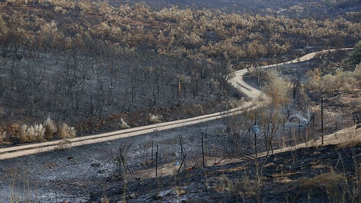Telediario 1 - Los tres grandes incendios activos en Extremadura evolucionan favorablemente