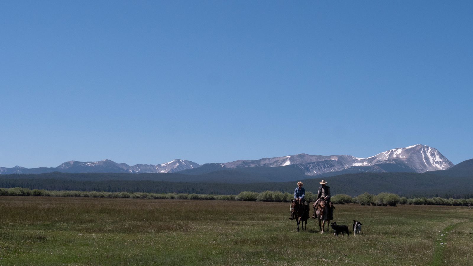 La hora de la naturaleza - Episodio 2: Entendimiento - Ver ahora