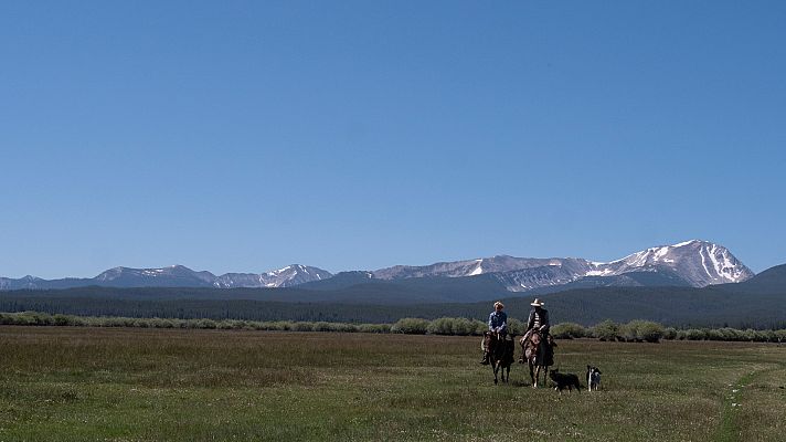 La hora de la naturaleza - Entendimiento