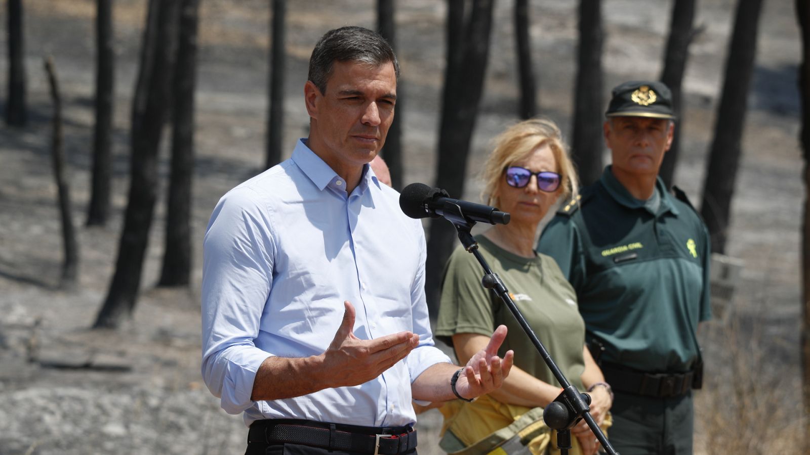 Diario 24 - 20/07/22 (2) - ver ahora