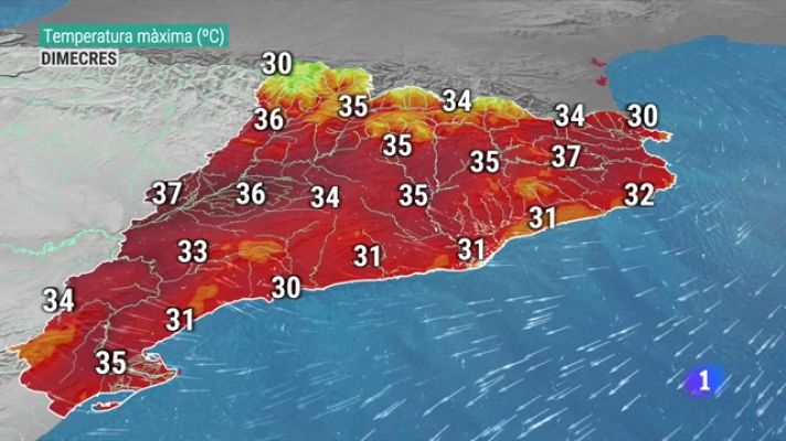 El temps - Una petita treva de calor