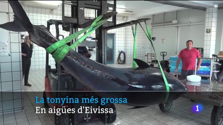 Informatiu Balear - Informatiu Balear 1 - 20/07/22