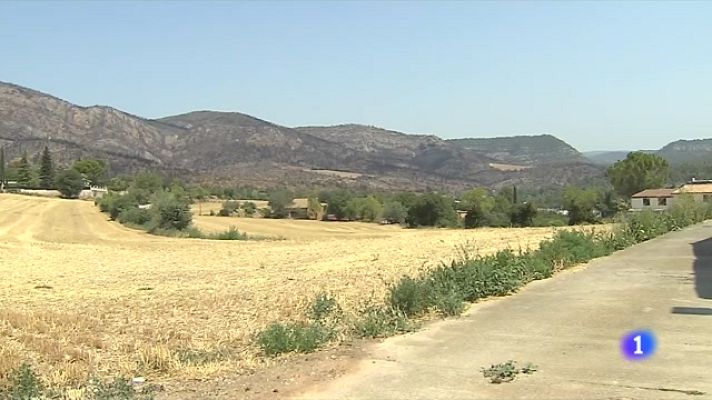 L'Informatiu - Els pagesos afectats pel foc d'Artesa encara no tenen els ajuts de la Generalitat