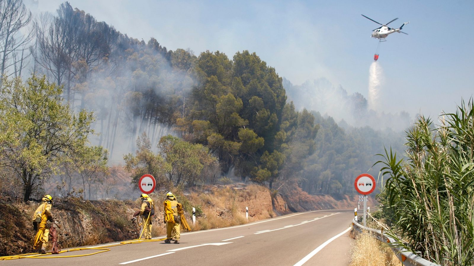España sufre una de las olas de incendios más violentas: 80.000 hectáreas arrasadas