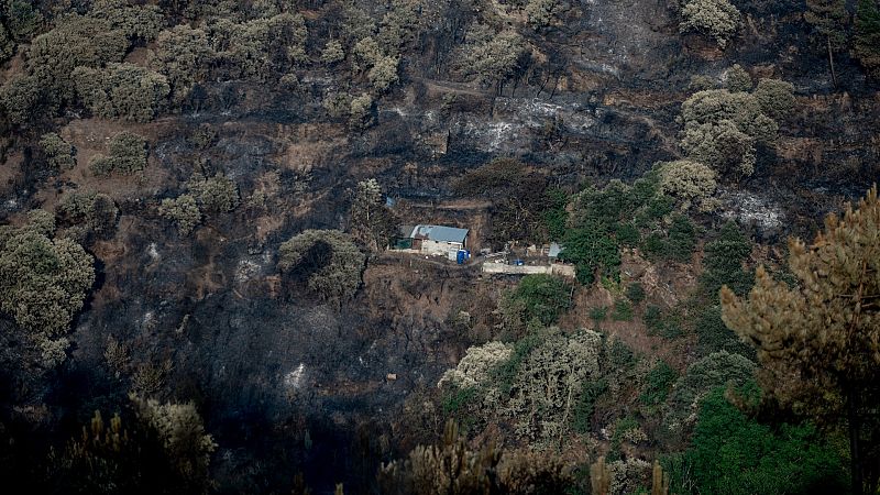 Telediario Matinal en Cuatro Minutos - 21/07/2022 - Ver ahora