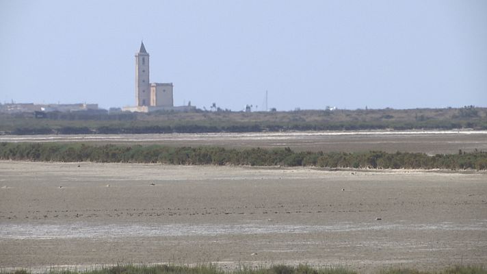 Noticias Andalucía - SOS para las salinas de Cabo de Gata