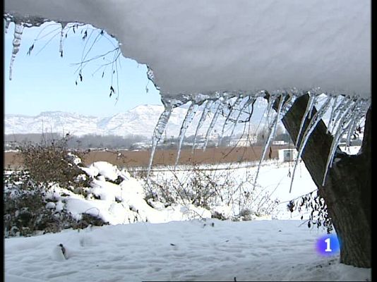 Informativo Telerioja - Informativo Telerioja - 11/01/10