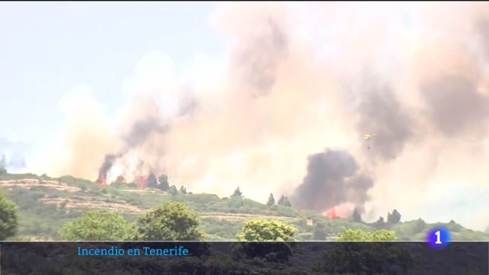 Telecanarias - 21/07/2022 | Ver