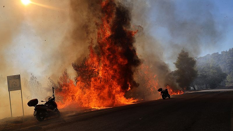 Más de 5.000 kilómetros cuadrados han ardido en toda Europa en lo que va de 2022