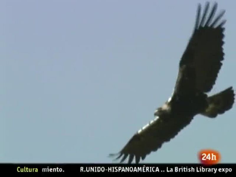 NATURAL: 2010, el Año de la Biodiversidad