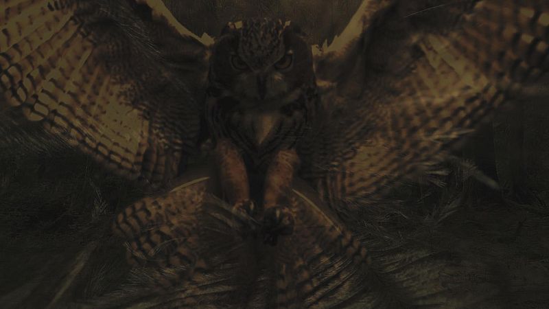 Palabra Voyeur - 'Qué difícil es acariciar', Ana Blandiana - 25/07/22 - Ver ahora