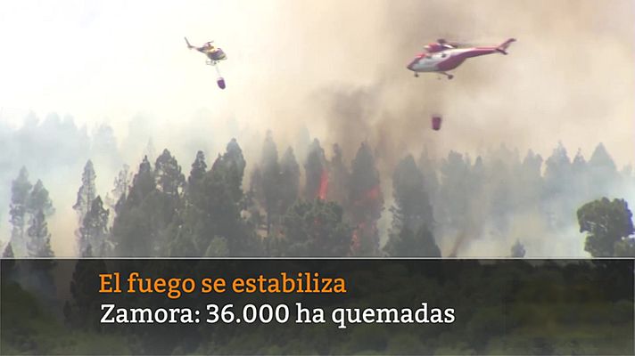 Diario 24 - Diario 24 - 22/07/22 (1)