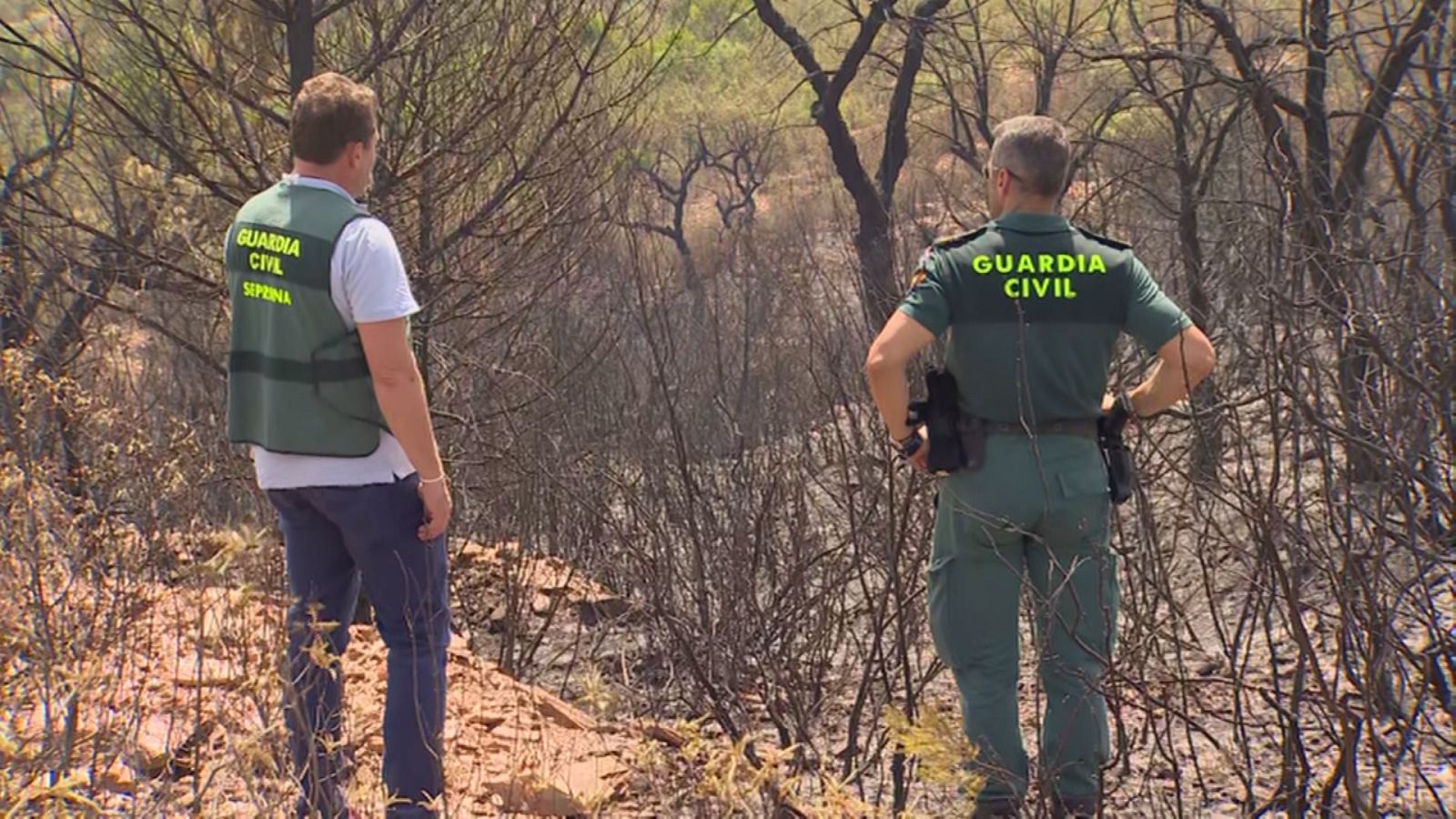 Incendio en Aznalcóllar (Sevilla) - Ver ahora