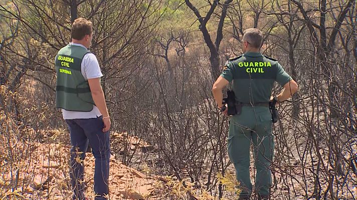 Noticias Andalucía - Incendio en Aznalcóllar (Sevilla)
