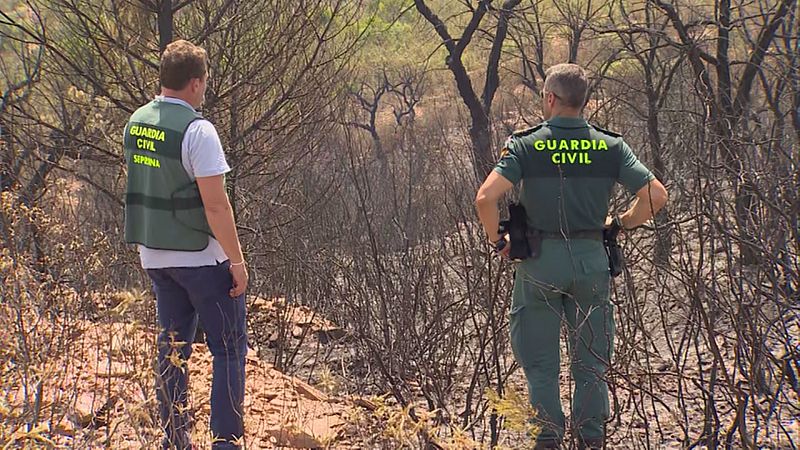 Incendio en Aznalcóllar (Sevilla) - Ver ahora