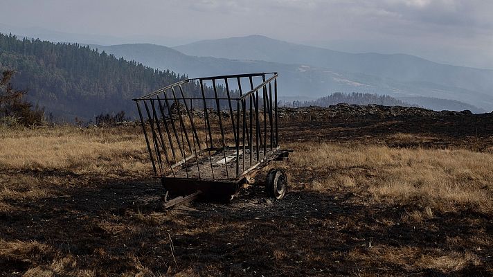 Telediario 1 - El fuego provoca un desastre económico y ambiental en varias aldeas de Lugo