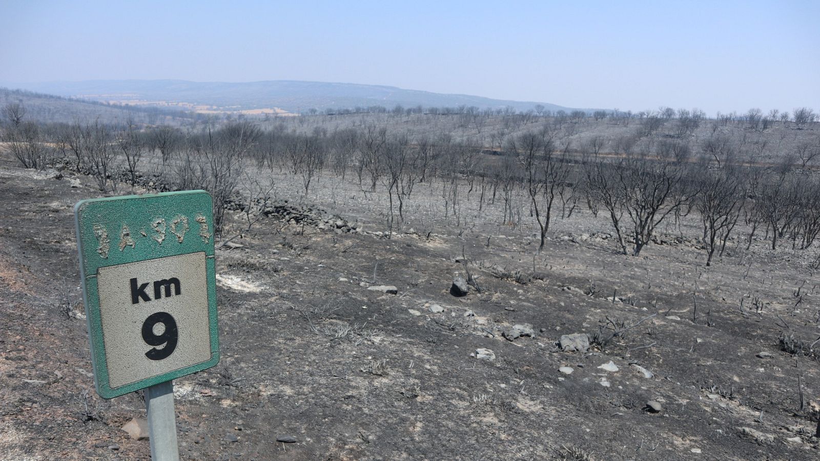 El incendio de Losacio, Zamora, podría ser el más extenso de la historia de España