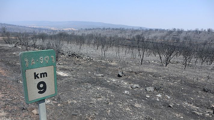 Telediario 1 - El incendio de Losacio, Zamora, podría ser el más extenso de la historia de España
