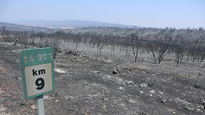 El incendio de Losacio, Zamora, podr�a ser el m�s extenso de la historia de Espa�a