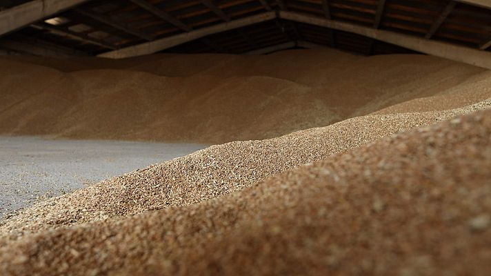 La tarde en 24h - Rusia y Ucrania firman un acuerdo y desbloquean la exportación de grano: "Evitará la hambruna mundial"