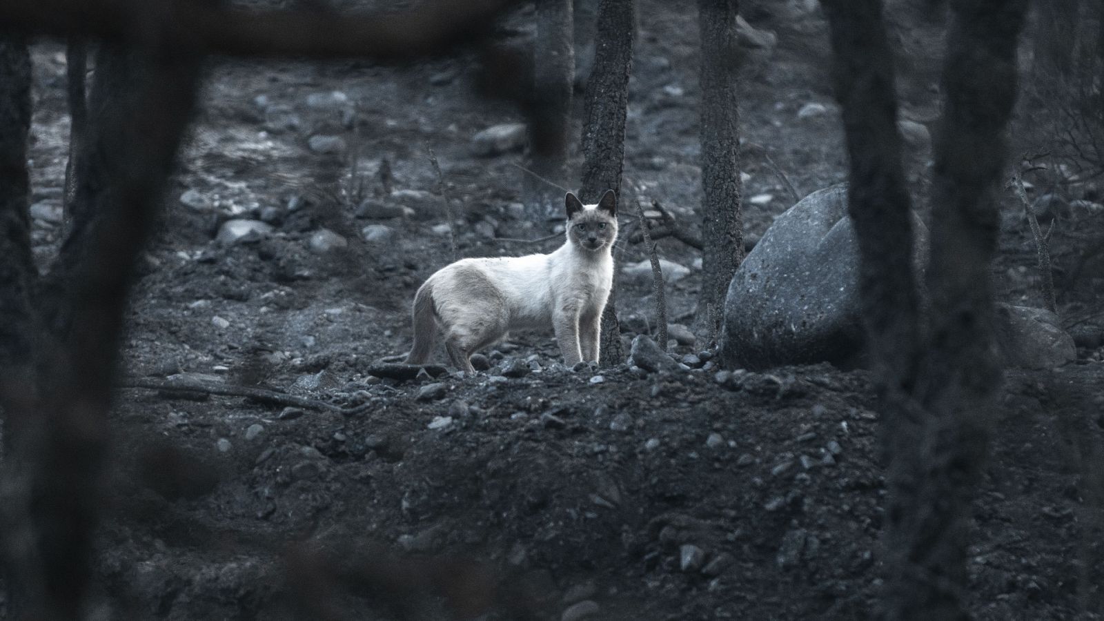 La tarde en 24 horas - 22/07/22 (1) - ver ahora