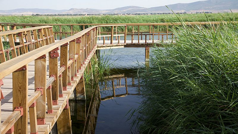 De parque en parque - Parque Nacional Las Tablas de Daimiel - ver ahora