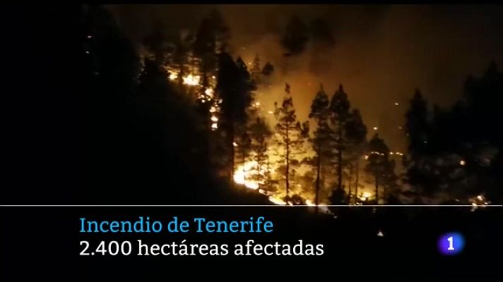 Telecanarias - Telecanarias - 24/07/2022