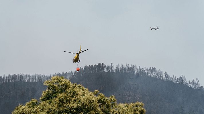 Telediario Fin de Semana - El fuego avanza en Tenerife tras quemar de 2.400 hectáreas