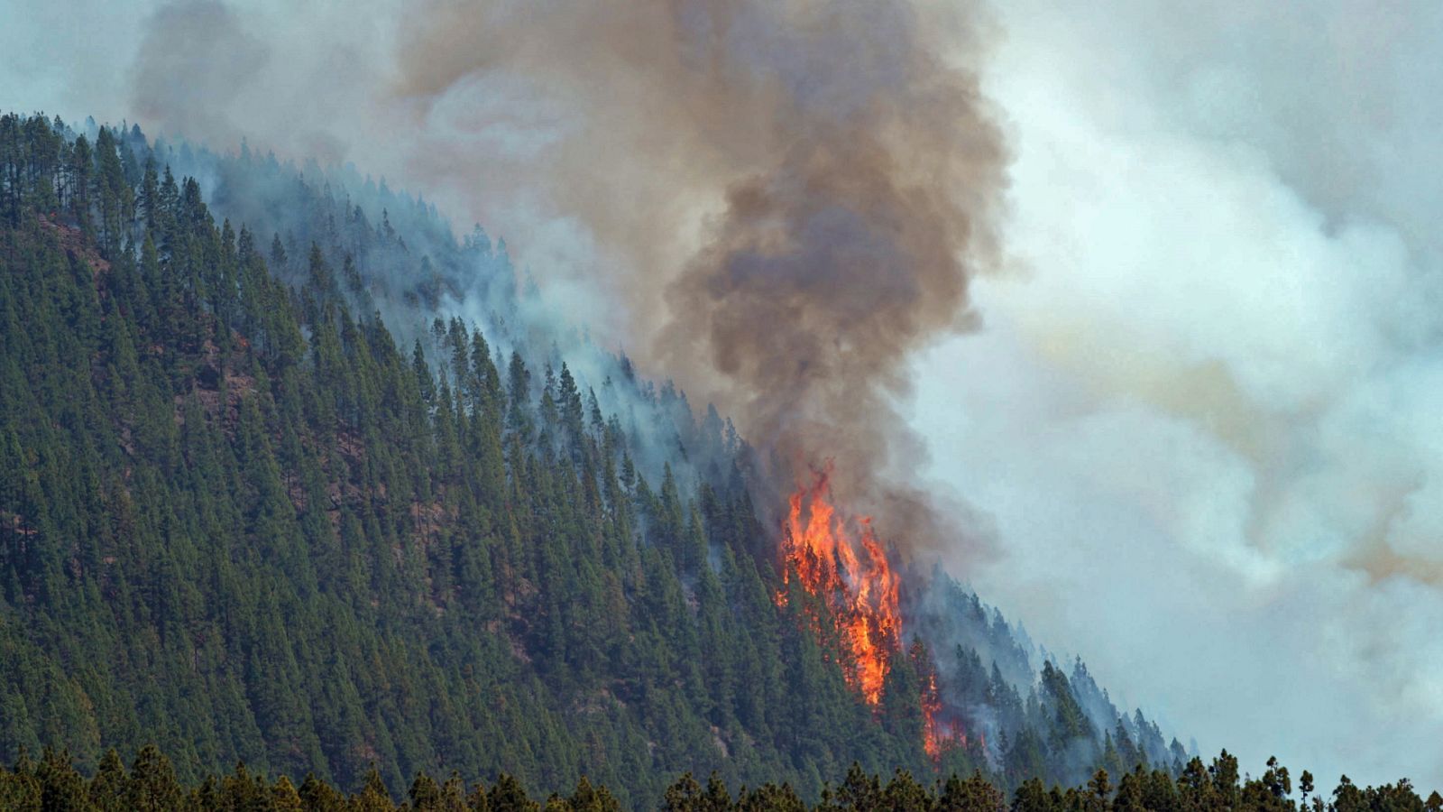 Diario 24 - 25/07/22 (2) - ver ahora