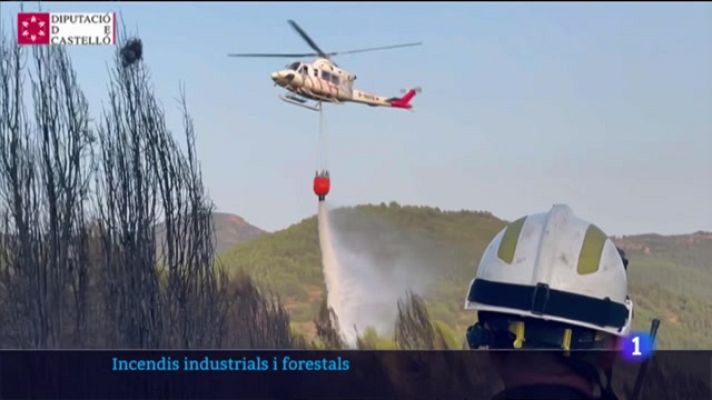 L'informatiu - Comunitat Valenciana - L'informatiu Comunitat Valenciana 1 25/07/2022