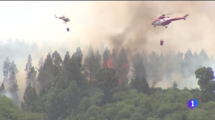 Telecanarias - Telecanarias - 25/07/2022