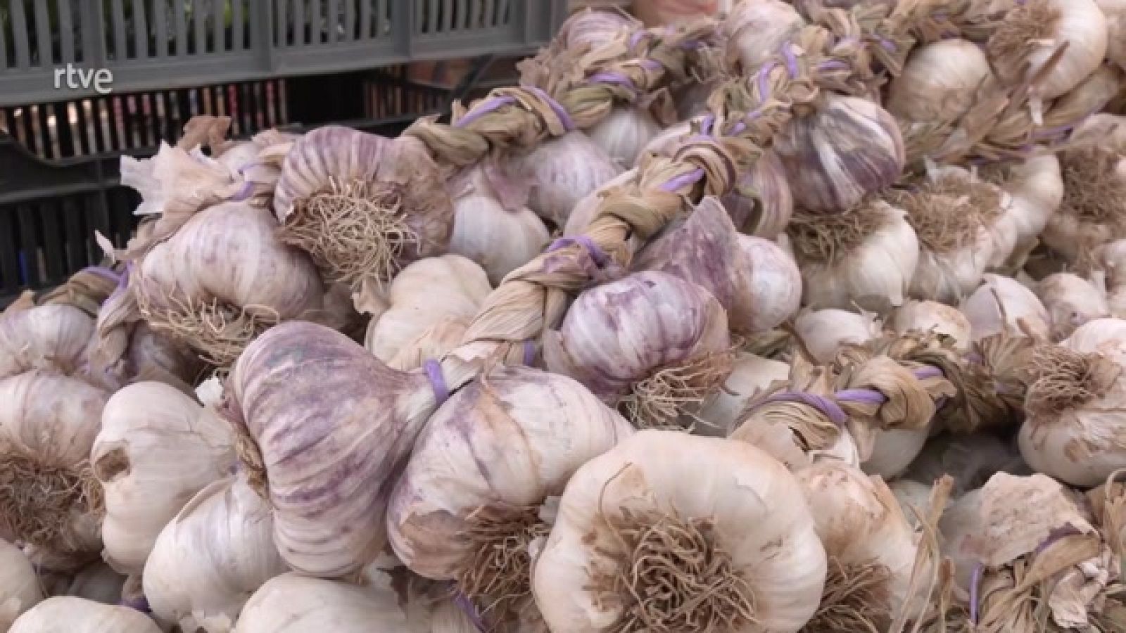 Aquí la Tierra - El ajo, de feria y trenzado