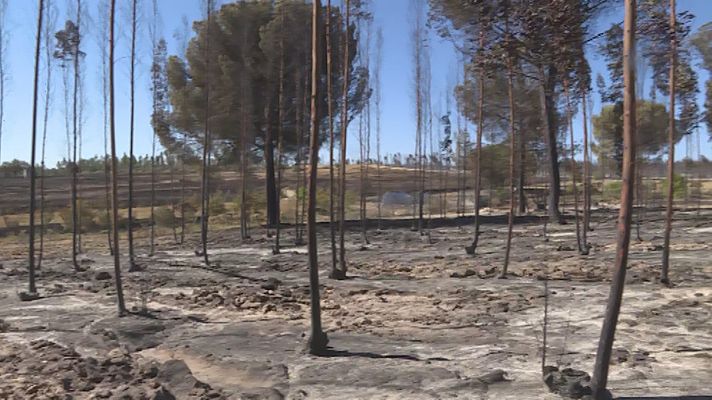 Noticias Andalucía - Incendios en Andalucía