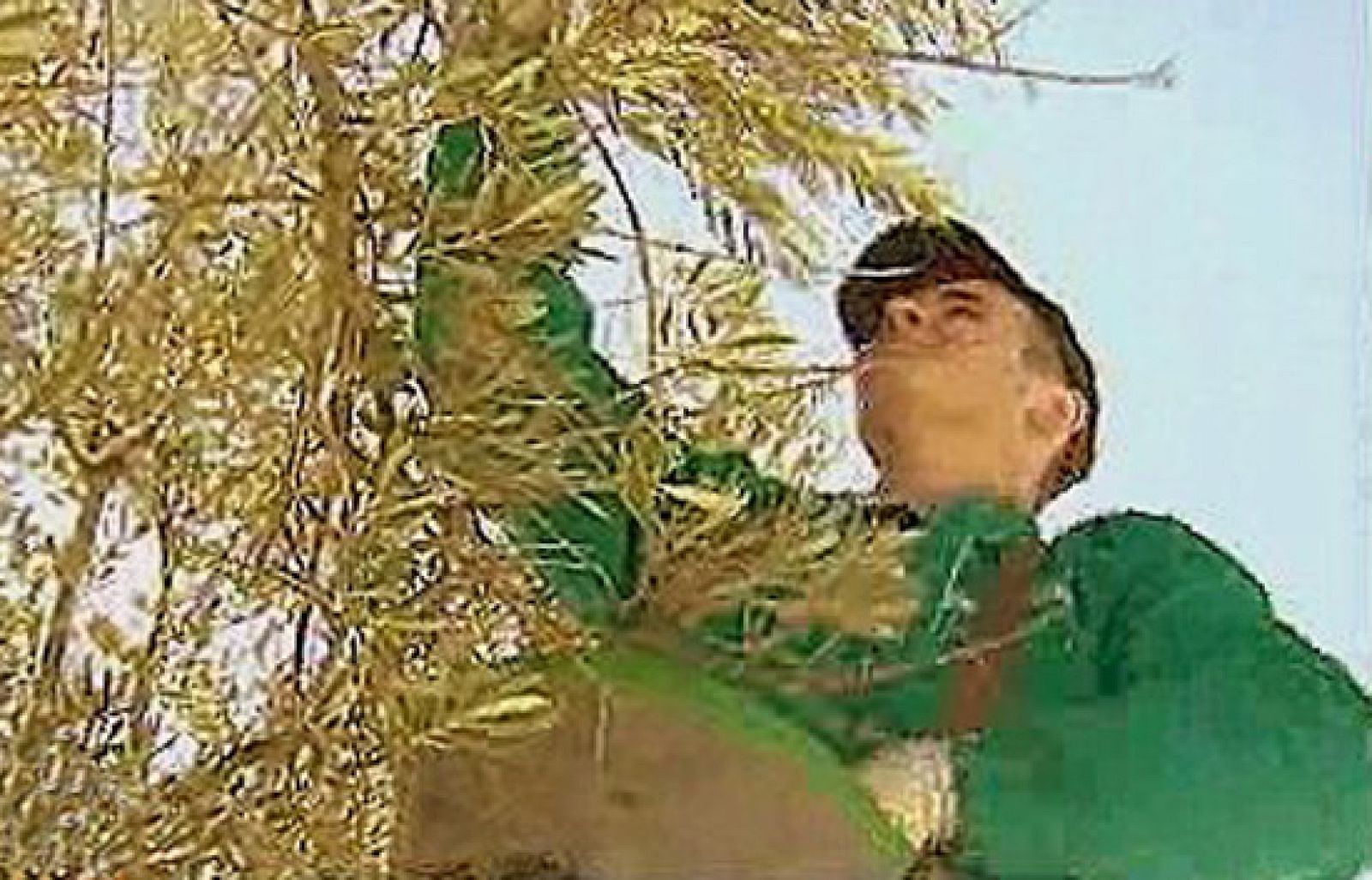 España Directo - Aceite de hielo | Ver