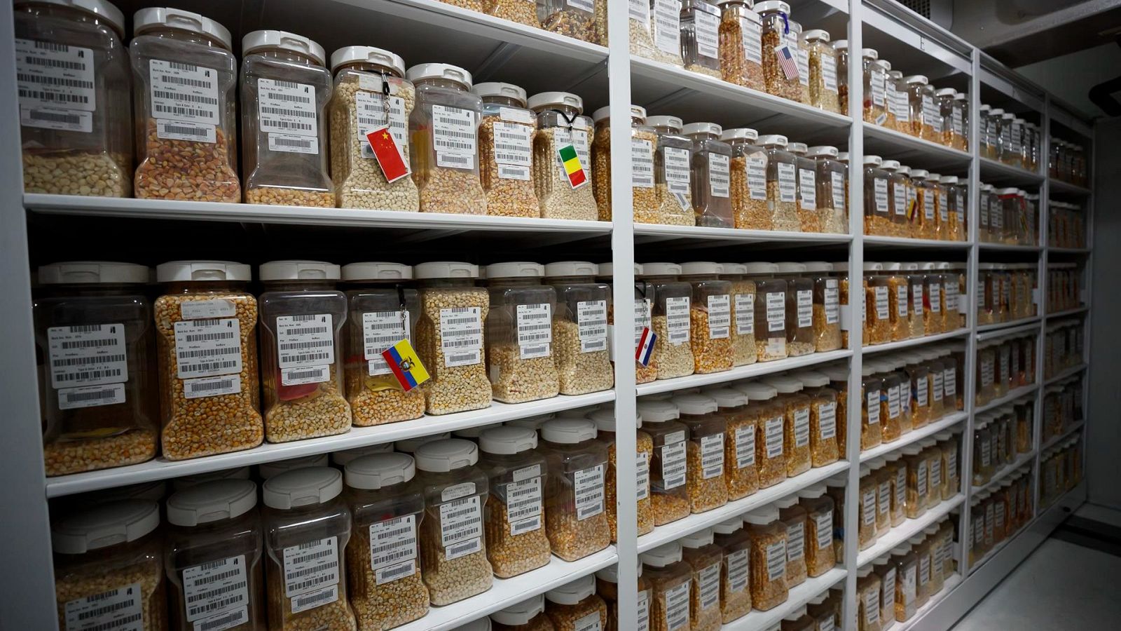 Un banco de semillas en Marruecos | Ver