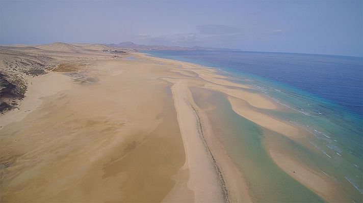 Canarias bajo el mar - Fuerteventura