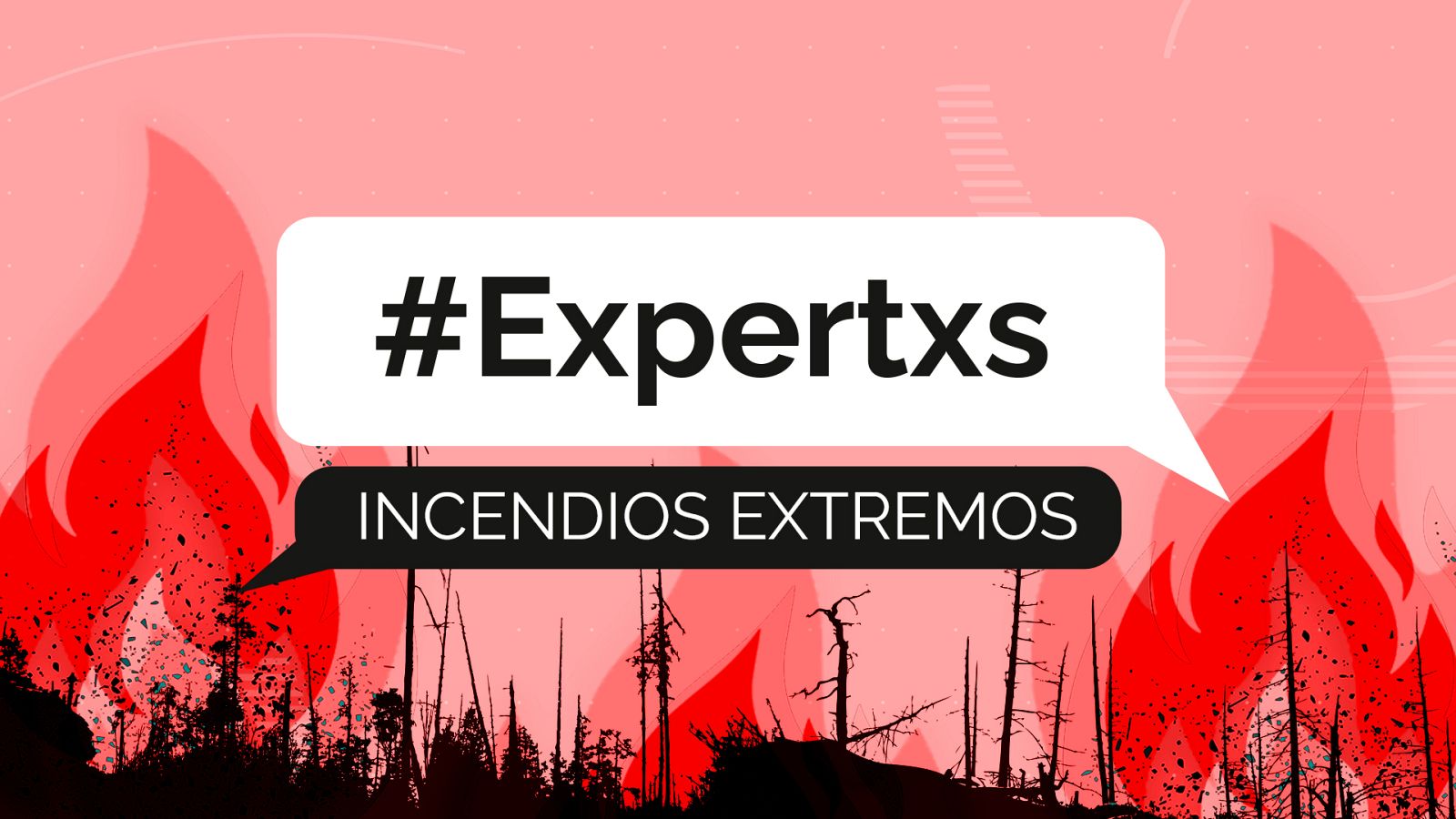 Incendios y cambio climático: ¿cómo será el ecosistema? - Modo Digital | Ver