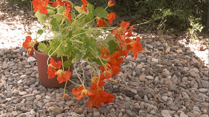 Aquí la Tierra - Aquí la Tierra - 29/07/22