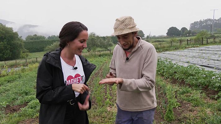 Aquí la Tierra - Aquí la Tierra - 31/07/22