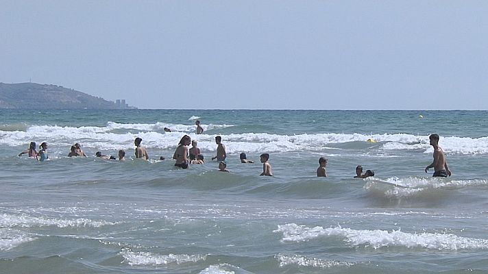 L'informatiu - Comunitat Valenciana - El Mediterrani continua escalfant-se, amb conseqüències per a la faura i flora marines