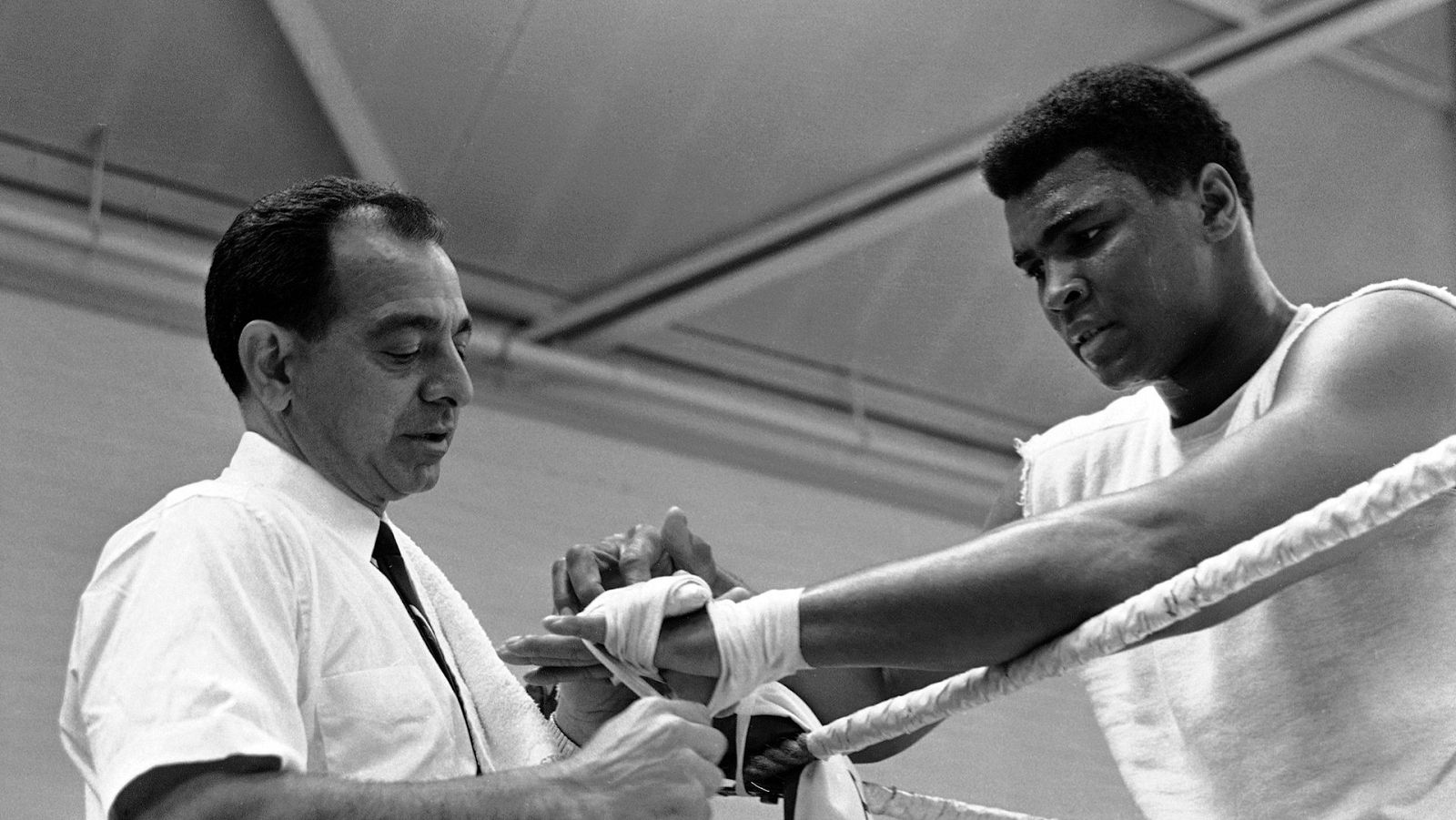 Somos documentales - El regreso de Ali - La historia jamás contada - ver ahora